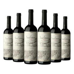Caja Vino Saint Felicien Cabernet Franc X6 Unidades 750cc