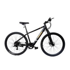 Bicicleta Firebird Electrica r29 BINFB29E