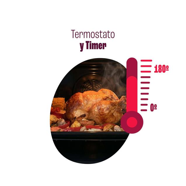 Horno Longvie Gas Inoxidable (H6900XT) - Imagen 7